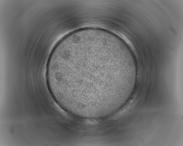X0000113340799200910131217