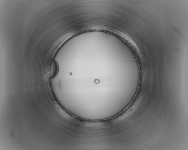 X0000113340801200910131217