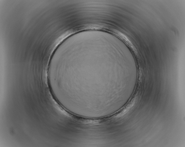 X0000113340802200910131217