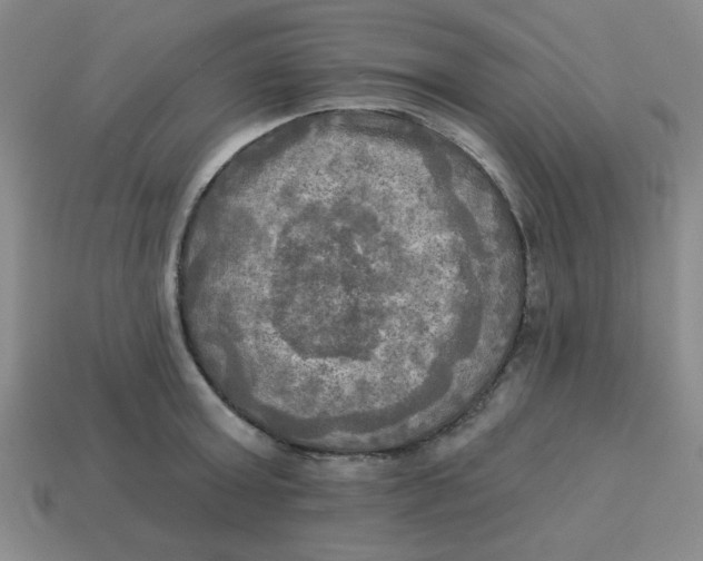 X0000113340803200910131217