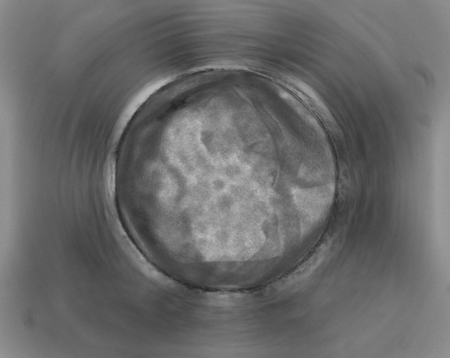 X0000113340804200910131217