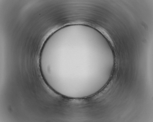 X0000113340805200910131217