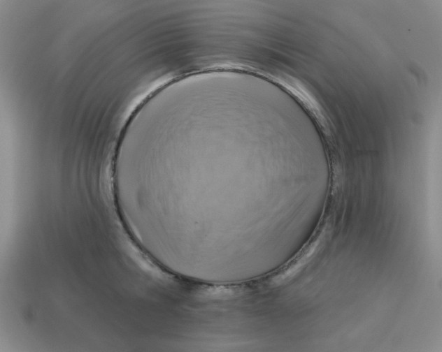 X0000113340806200910131217