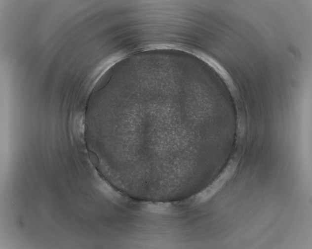 X0000113340809200910131217