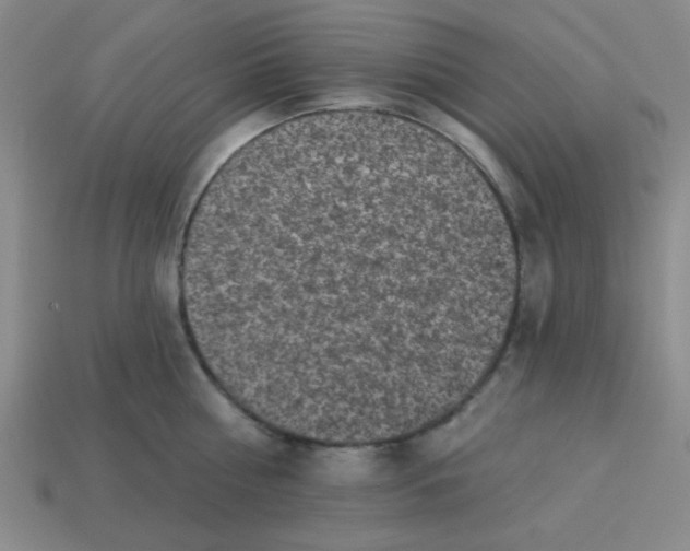 X0000113340810200910131217
