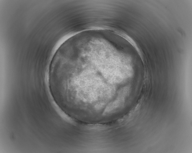 X0000113340811200910131217
