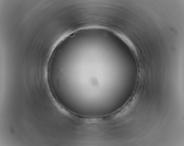 X0000113340813200910131217