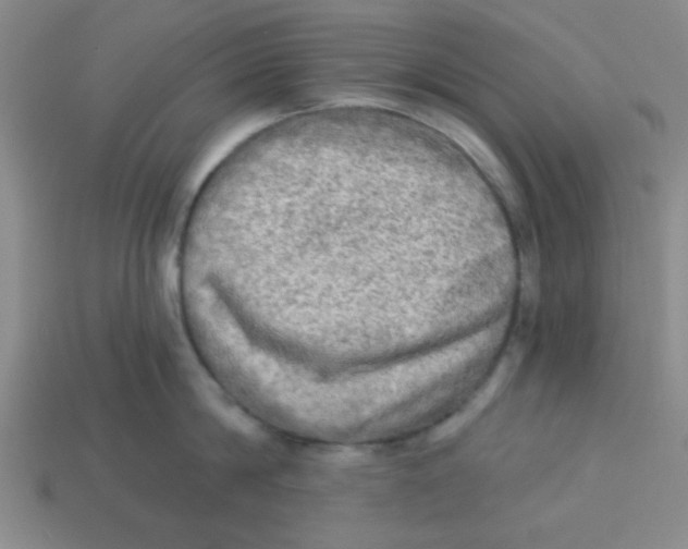 X0000113340814200910131217