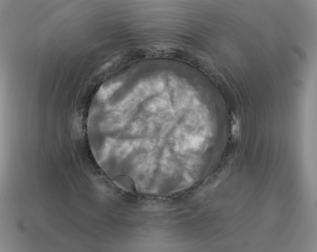 X0000113340819200910131217