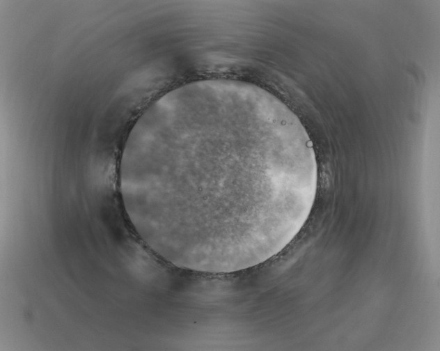 X0000113340820200910131217