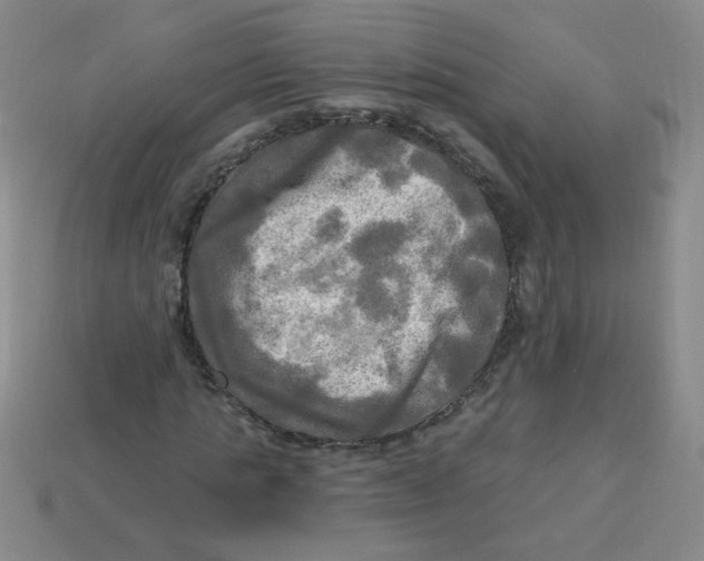 X0000113340821200910131217