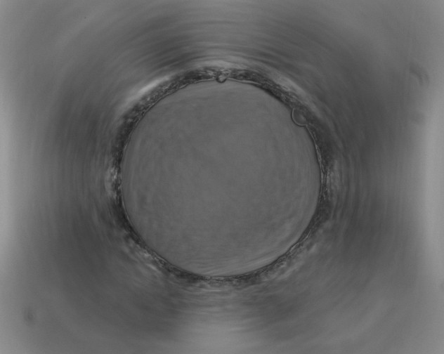 X0000113340822200910131217