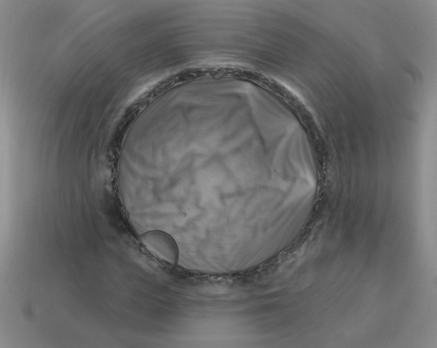X0000113340823200910131217