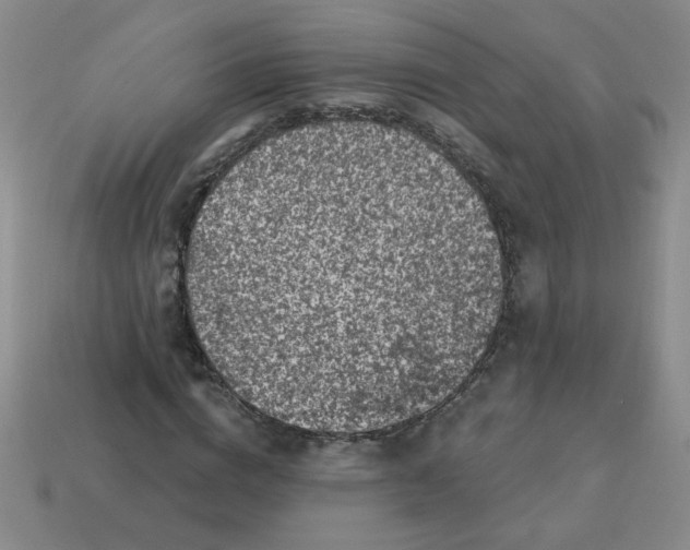 X0000113340824200910131217
