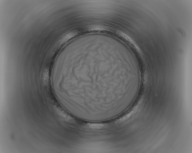 X0000113340825200910131217