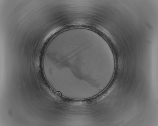 X0000113340826200910131217
