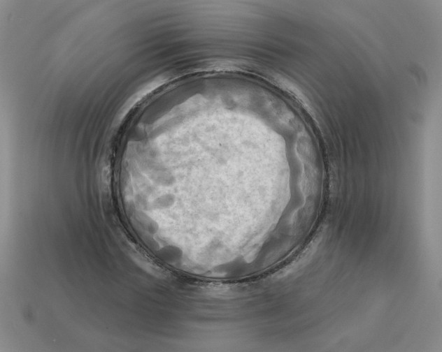 X0000113340827200910131217