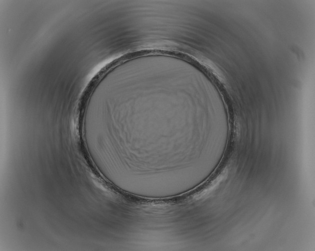 X0000113340830200910131217
