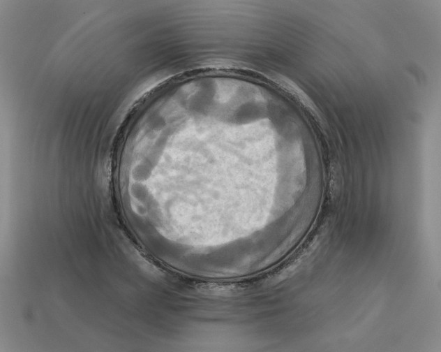 X0000113340831200910131217