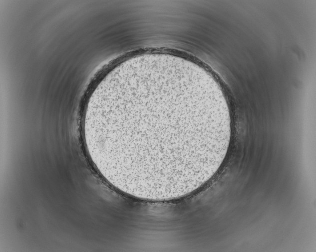 X0000113340832200910131217