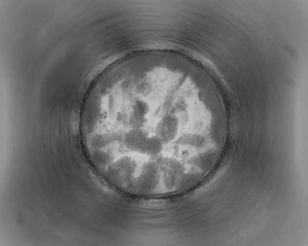 X0000113340833200910131217