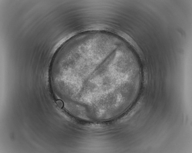 X0000113340834200910131217