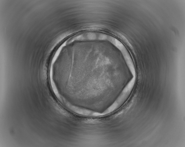 X0000113340835200910131217