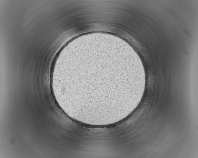 X0000113340836200910131217