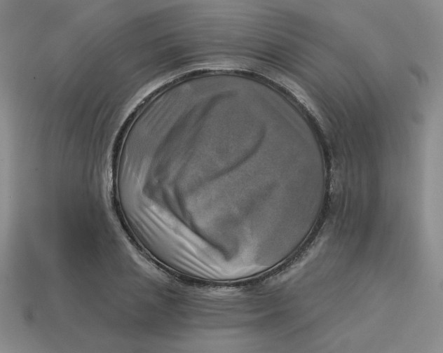 X0000113340837200910131217