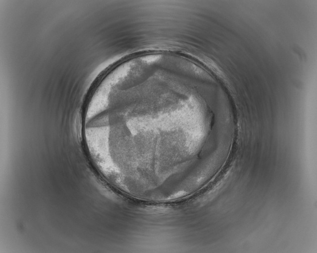 X0000113340838200910131217