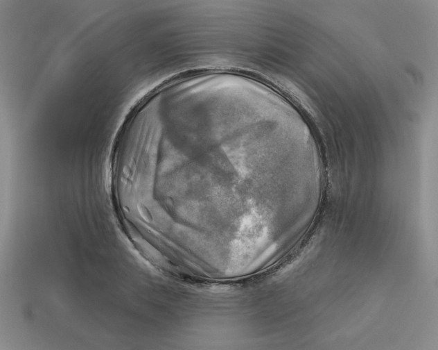 X0000113340839200910131217