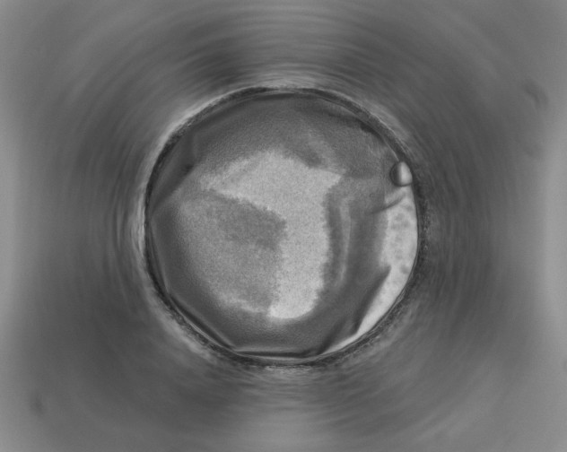 X0000113340840200910131217