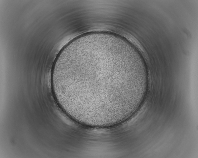 X0000113340842200910131217