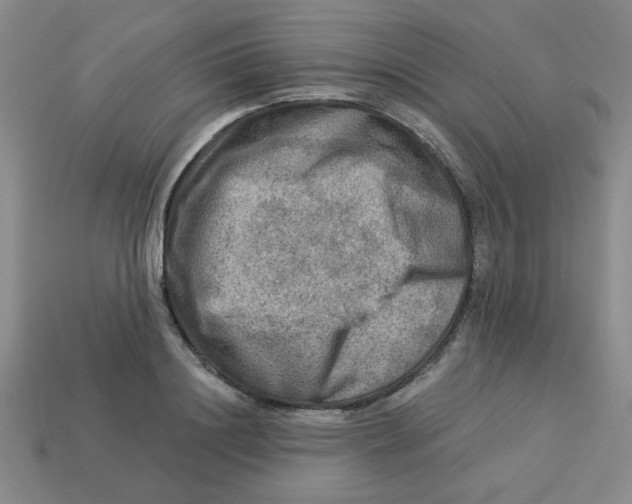 X0000113340844200910131217