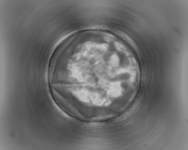 X0000113340847200910131217