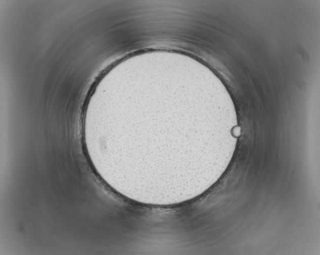 X0000113340848200910131217