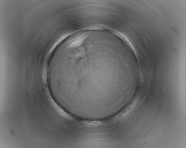 X0000113340851200910131217