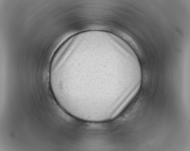 X0000113340852200910131217