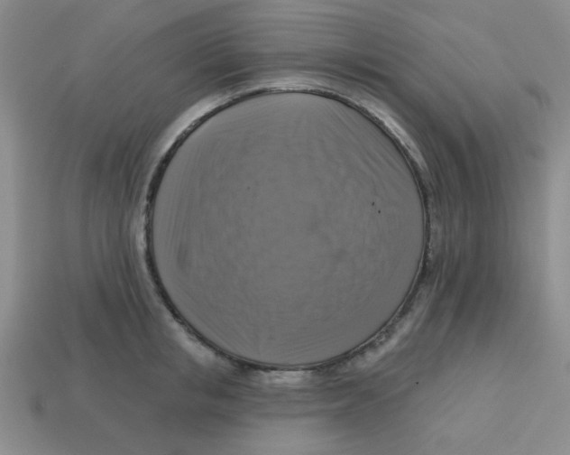 X0000113340853200910131217