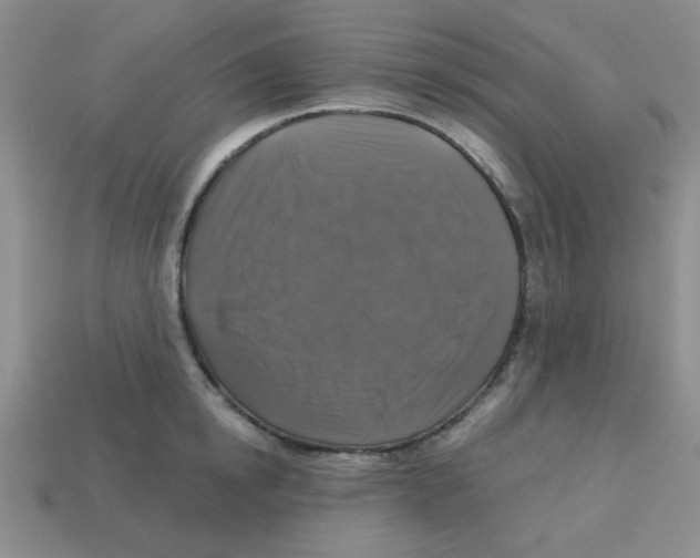 X0000113340854200910131217