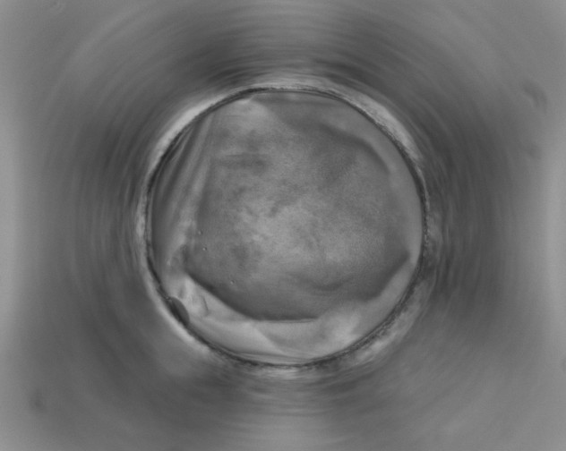 X0000113340855200910131217