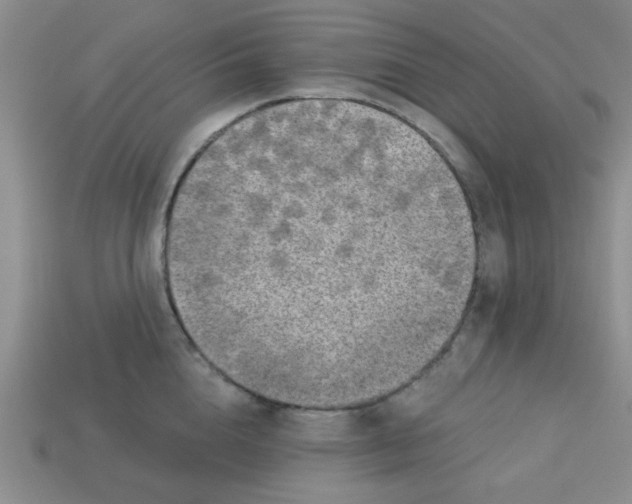 X0000113340856200910131217
