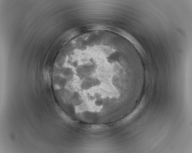 X0000113340857200910131217