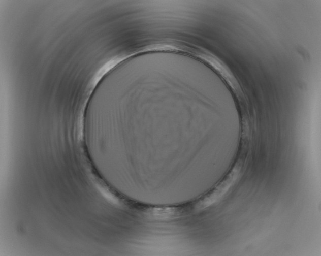 X0000113340858200910131217