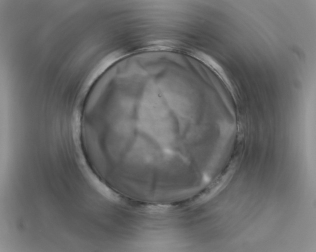 X0000113340859200910131217