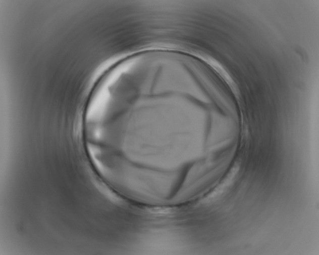 X0000113340862200910131217