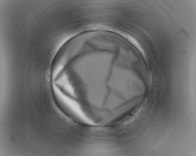 X0000113340863200910131217
