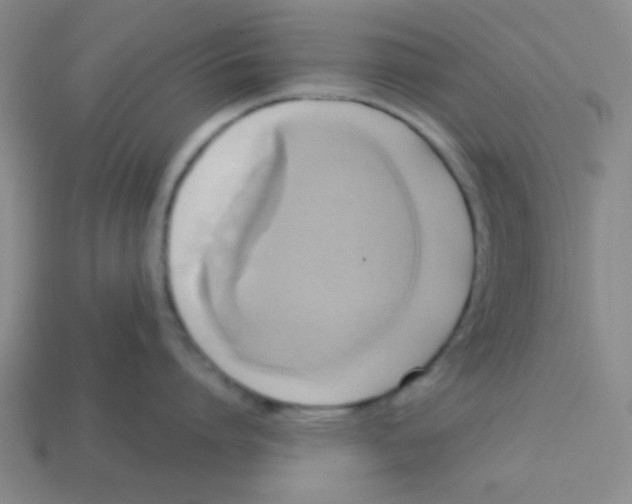 X0000113340864200910131217