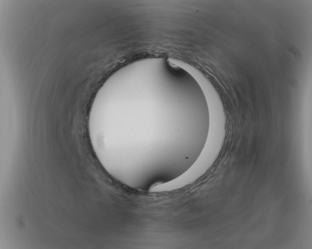 X0000113340865200910131217