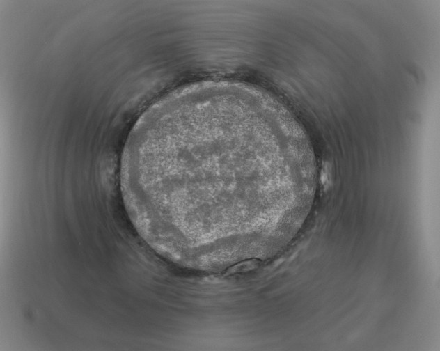 X0000113340867200910131217